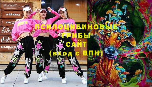 ПСИЛОЦИБИНОВЫЕ ГРИБЫ Ессентукская