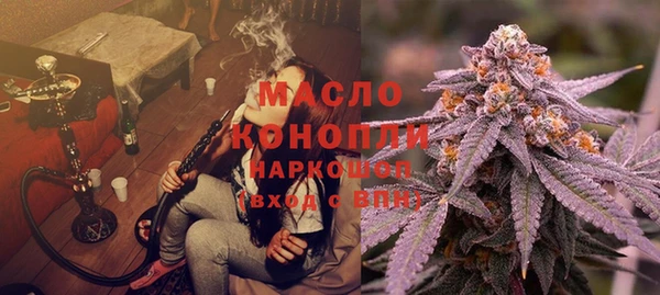 apvp Каменка