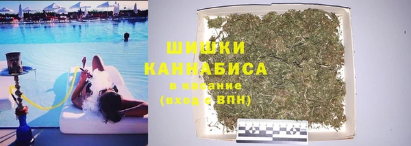 ешки Санкт-Петербург