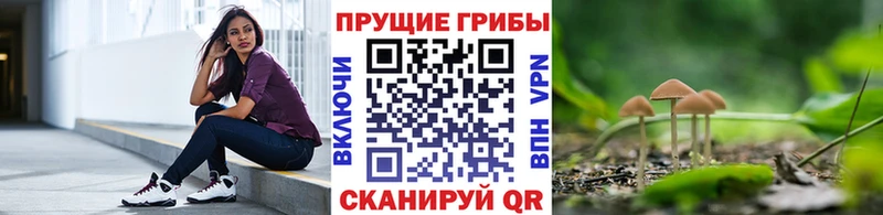 Галлюциногенные грибы мицелий  Купить где  Ивангород 